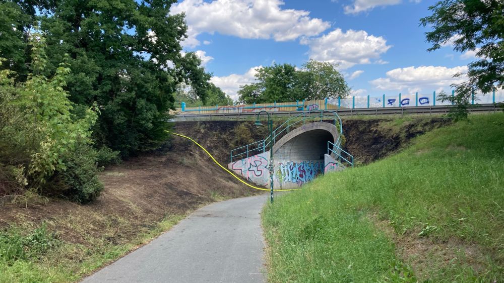 Weg, der auf eine Straßenunterführung zu führt. Die Vegetation der Böschung ist abgebrannt. 