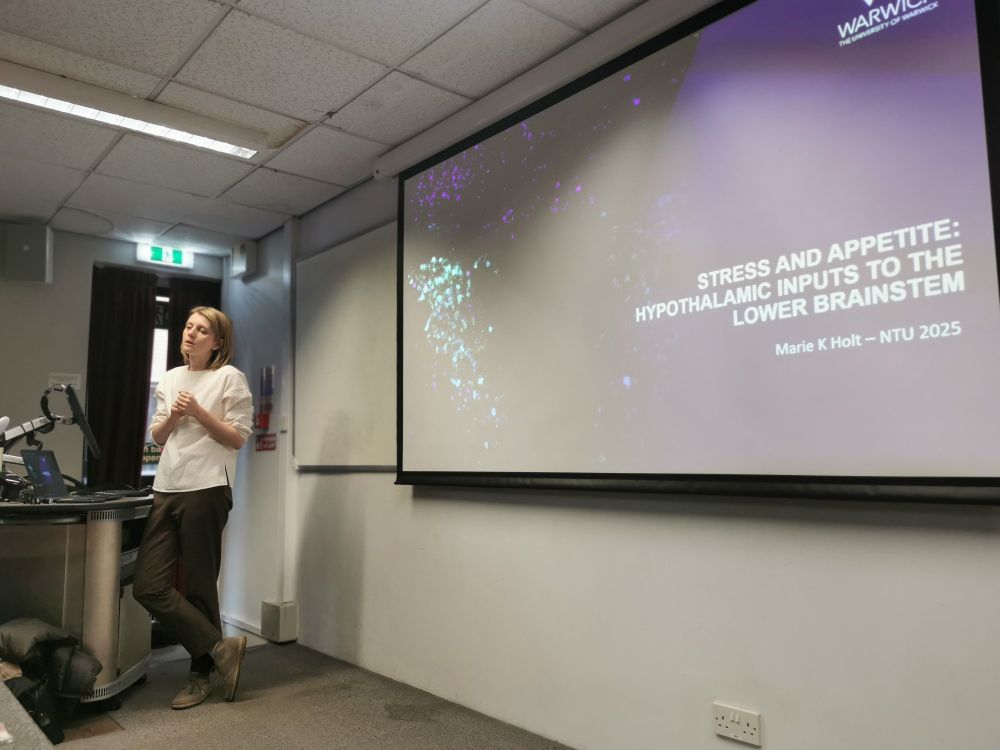 Dr Marie K Holt standing in front of a lectern introducing her talk "stress and appetite: hypothalamus inputs to the lower brain stem" with a fluorescent microscopy image highlighting neuronal cell bodies of the Paraventricular Nucleus. 