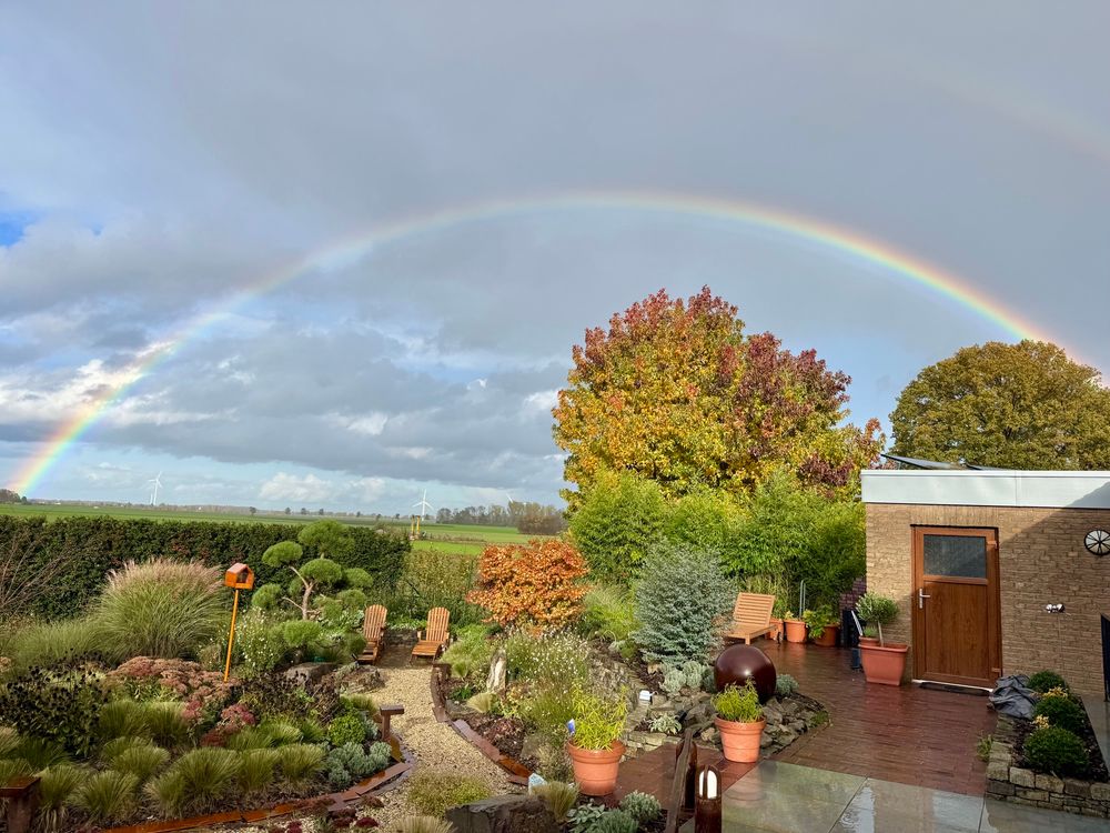 Ein voller Regenbogen über einem Garten