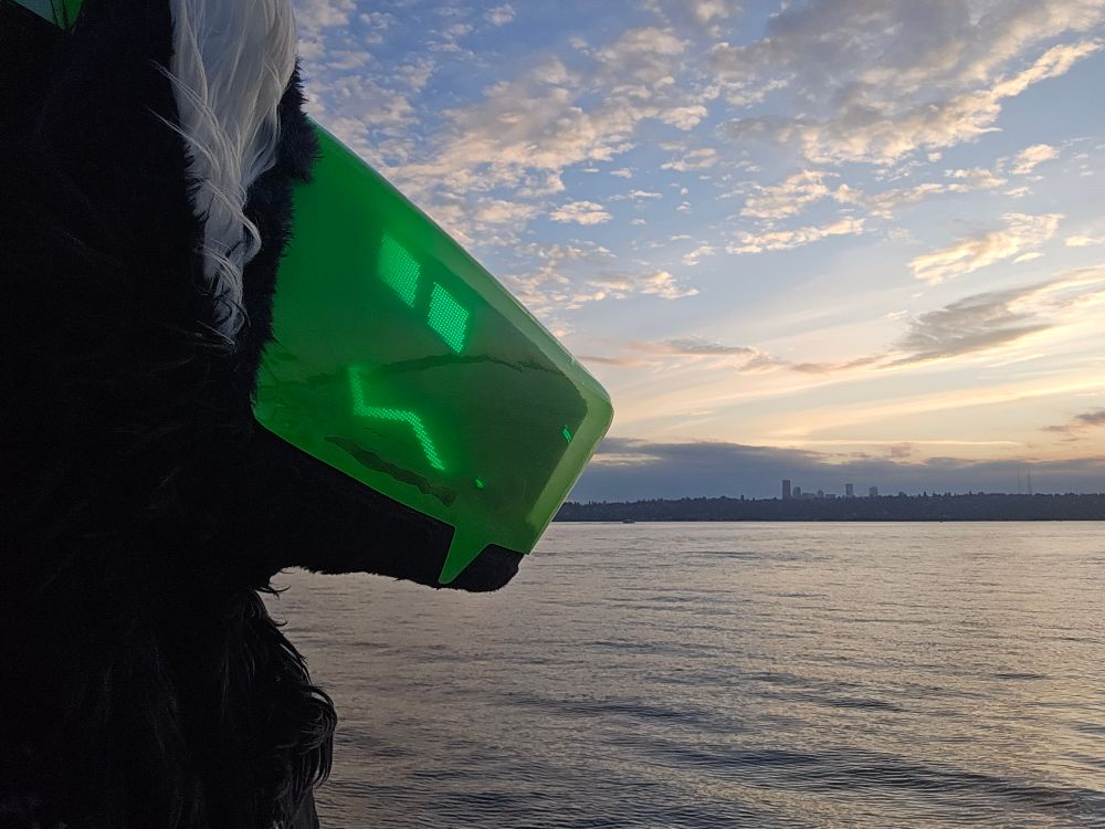 Mantled beast fursuiter staring at the evening sky over a body of water.