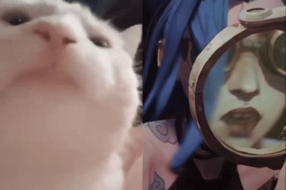 a close up of a cat 's face and a close up of a person 's face