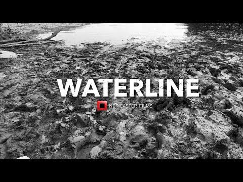 WATERLINE | SAVE DUNHAM