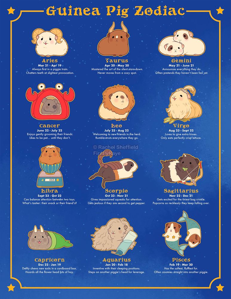 Digital illustration of a guinea pig zodiac chart.