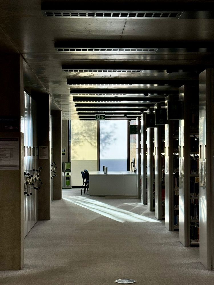 Sunshine lighting up a reading space in the SSL, with the shadow of a tree present in a window blind.