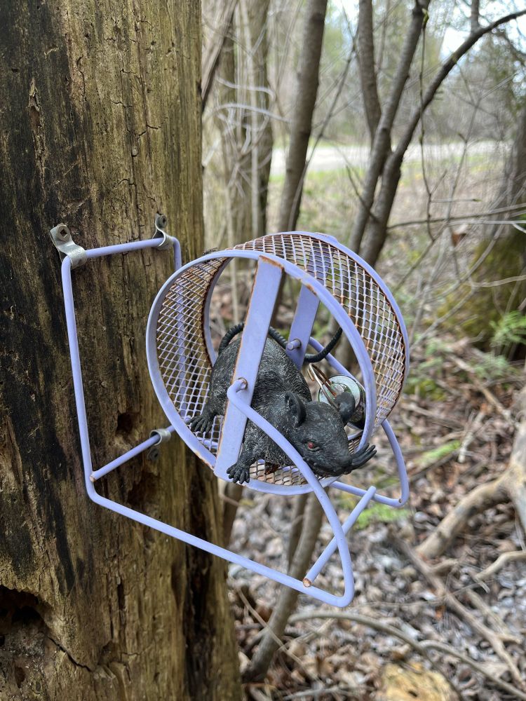 A rubber rat on a hamster wheel that has been attached to a dead tree. Attached to the rat is a silver bison tube geocache