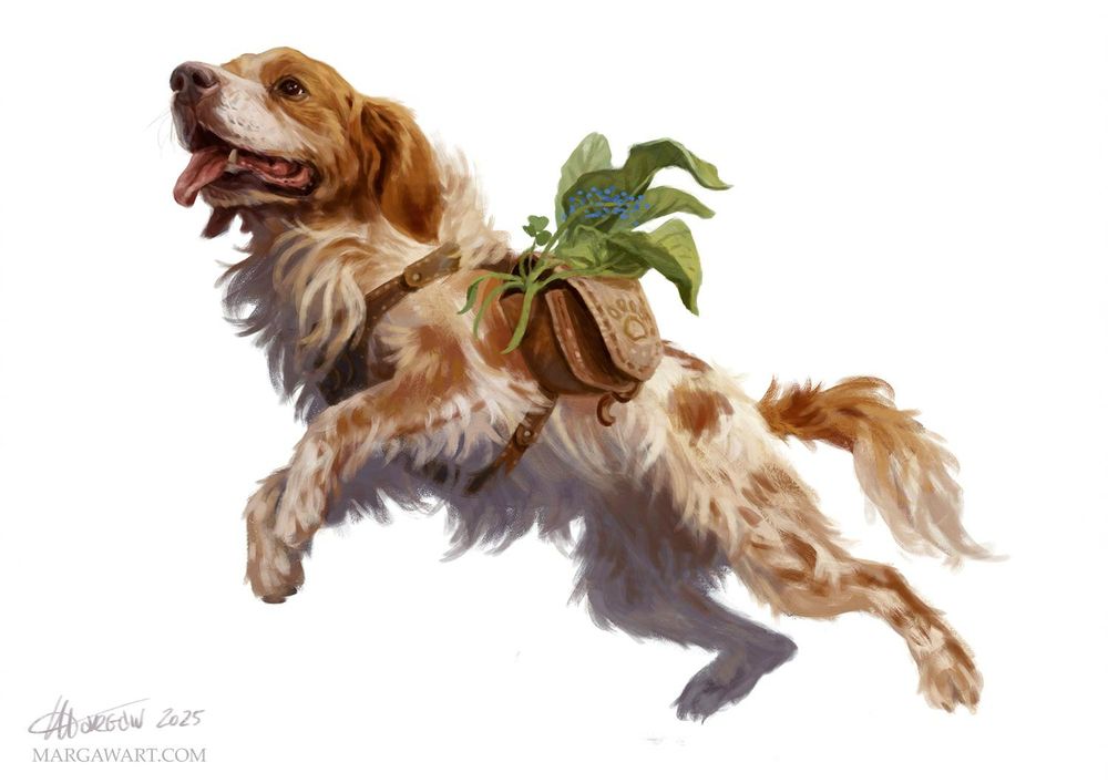A digital illustration of a Brittany Spaniel wearing a harness with a lil pouch full of herbs. 