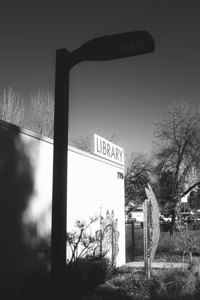 A lamppost sits dark in the shade while behind it, the sun brightly shines on a wall, at the top of which says “LIBRARY”. Picture is in black and white. Foliage and trees surround the building
