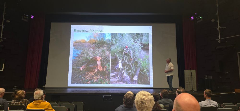 Presentation slide showing a beaver-shorn tree on one side and a similarly fuelled tree with a man weilding a chainsaw