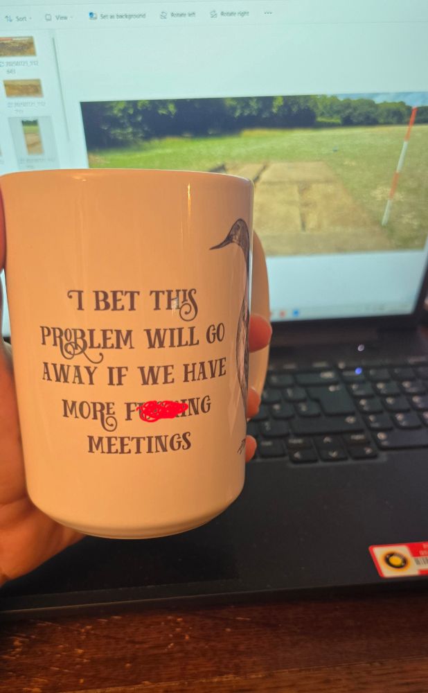 Mug in front of laptop, reads 

I BET THIS PROBLEM WILL GO AWAY IF WE HAVE MORE F #£+ING MEETINGS
