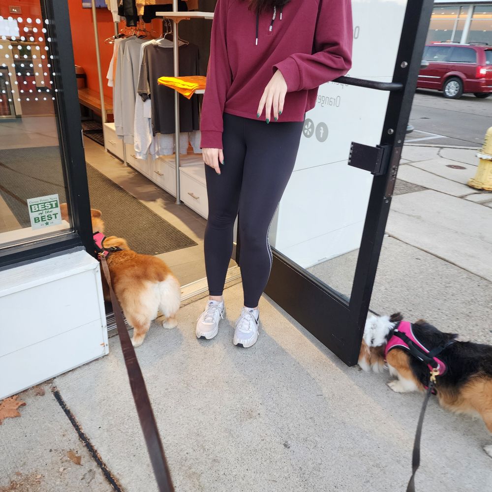 Rhys invites himself in to greet his stans  at Orange Theory Fitness while Phoebe daintily finishes her biscuit.