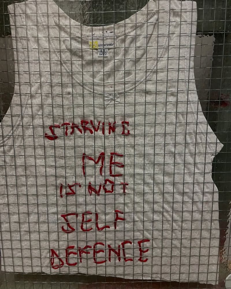 A white child's vest with the stictched words in red thread: 'Starving me is not self defence'