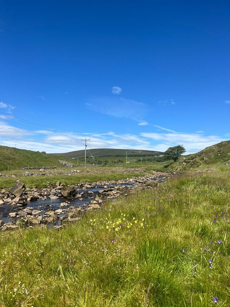 Weardale!