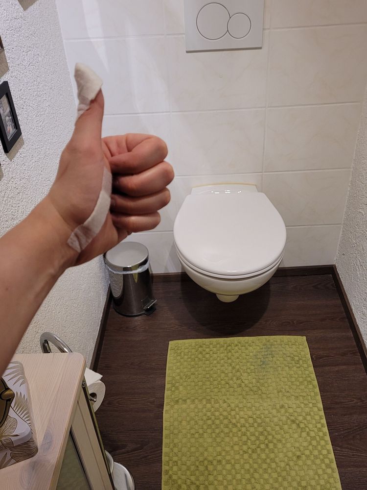 Bild einer Gästetoilette mit einem neu montierten WC-Deckel. Eine Person hält einen Daumen hoch in das Bild. An der Hand sind mehrere Pflaster.