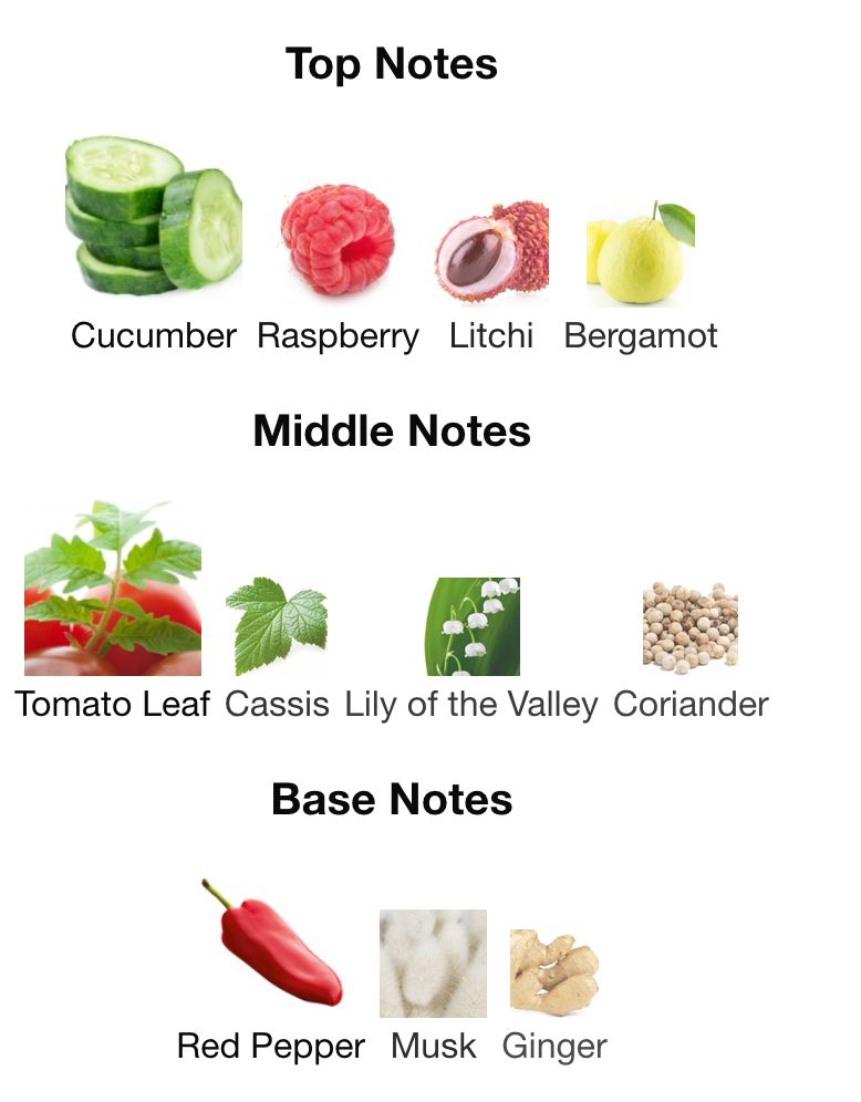pool tsu lange yor scent pyramid