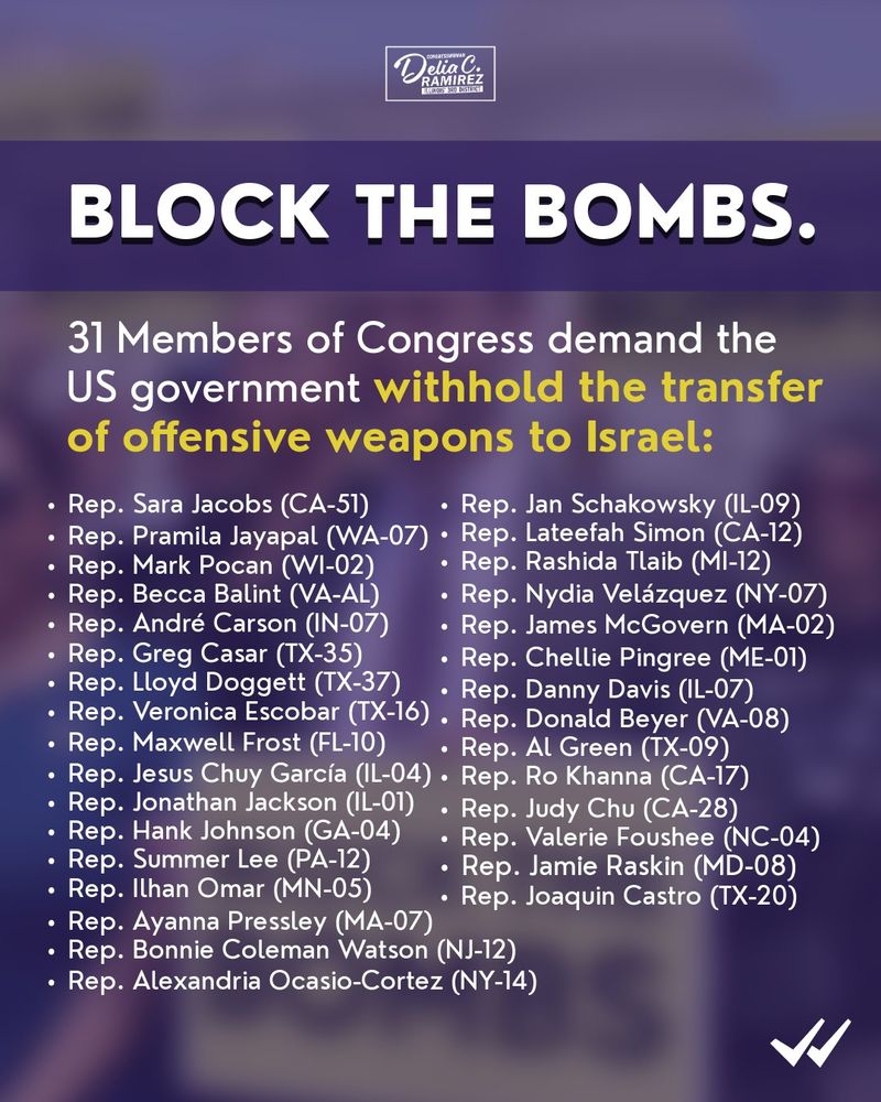 Delia Ramirez graphic showcasing all cosponsors.
