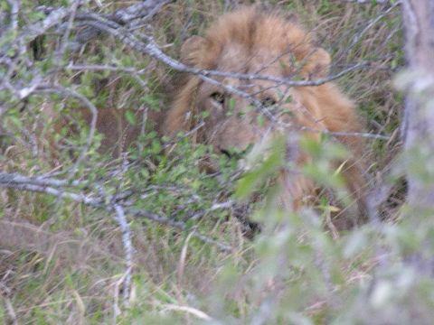 Dad was on the watch, though.