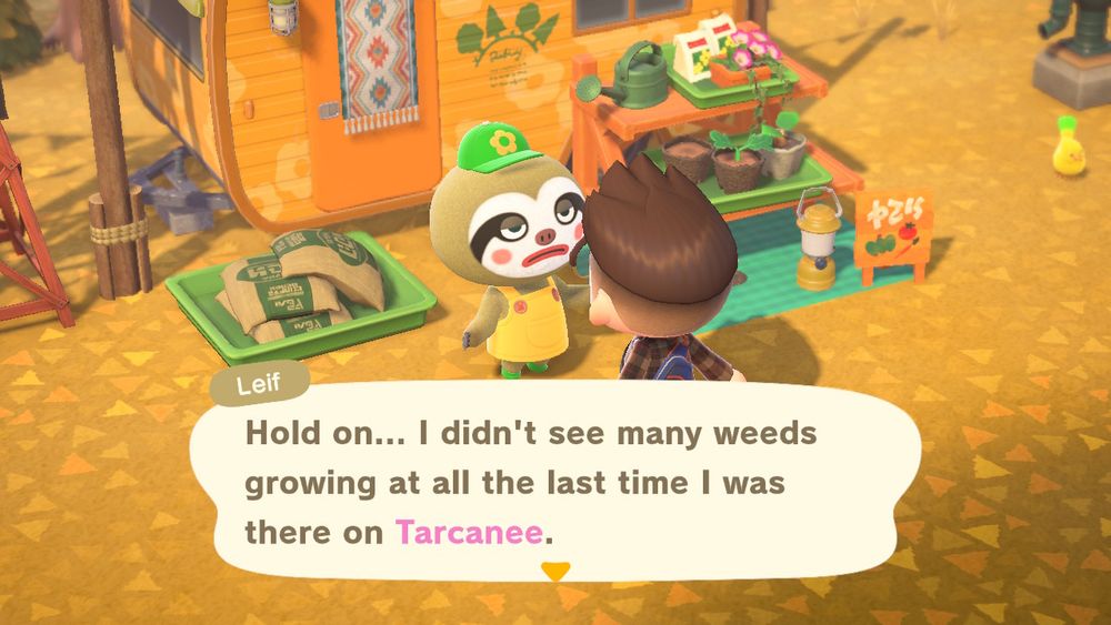 Leif from Animal Crossing telling my character I don’t have enough weeds on my island for his weeding removal service 