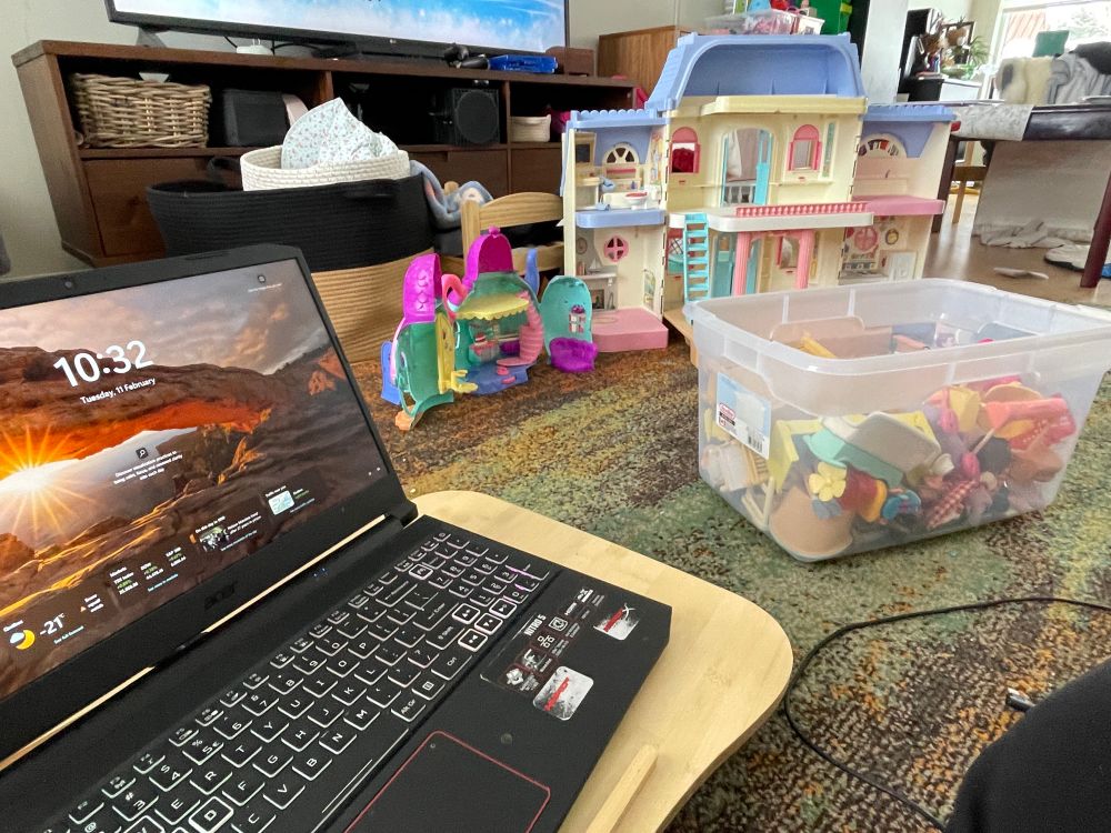 2 doll houses and a gaming laptop