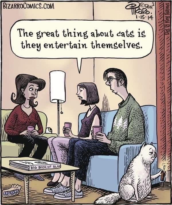 While three people sit on sofas and look at each other, a cat with a disillusioned expression sits on the floor and holds the flame of a lighter up to the bottom of the drapes. One of the people says: The great thing about cats is they entertain themselves. 