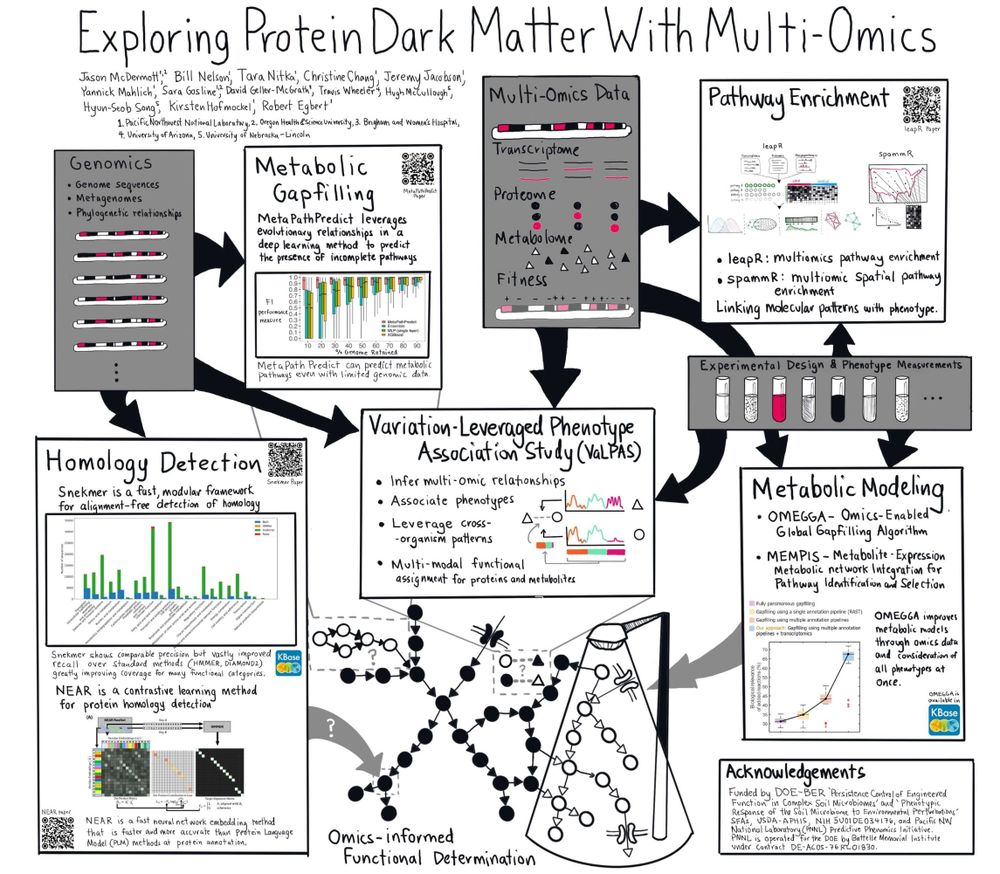 Hand-drawn poster titled 'Exploring Protein Dark Matter With Multi-Omics' - with lots of details (sorry, too many for alt text)