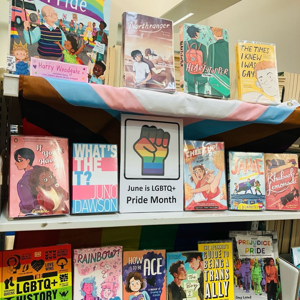 Three shelves of pride themed books with a progress pride flag wrapped around the shelves. Books include Grandad’s Pride, Northranger, and Jamie