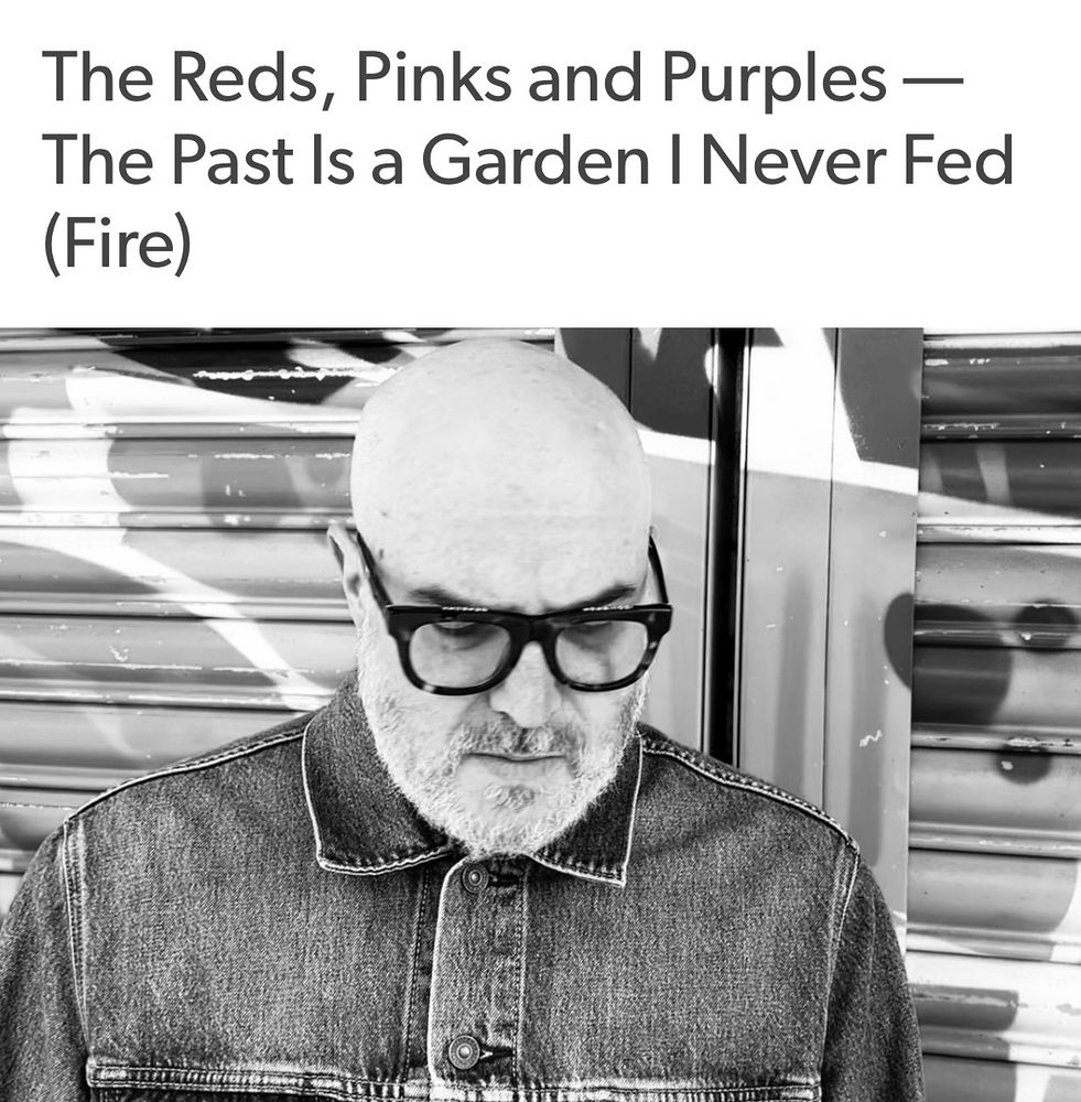 The Reds,Pinks and Purples’ The Past Is A Garden I Never Fed