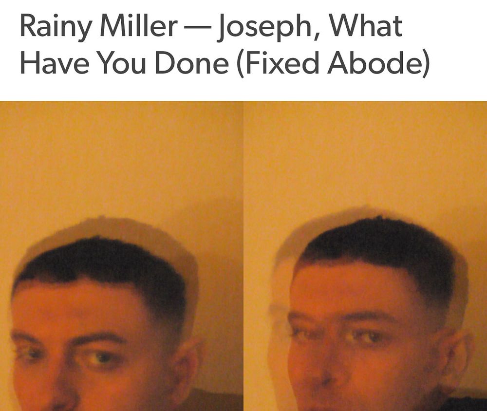 Rainy Miller’s Joseph, What Have You Done? Reviewed at Dusted