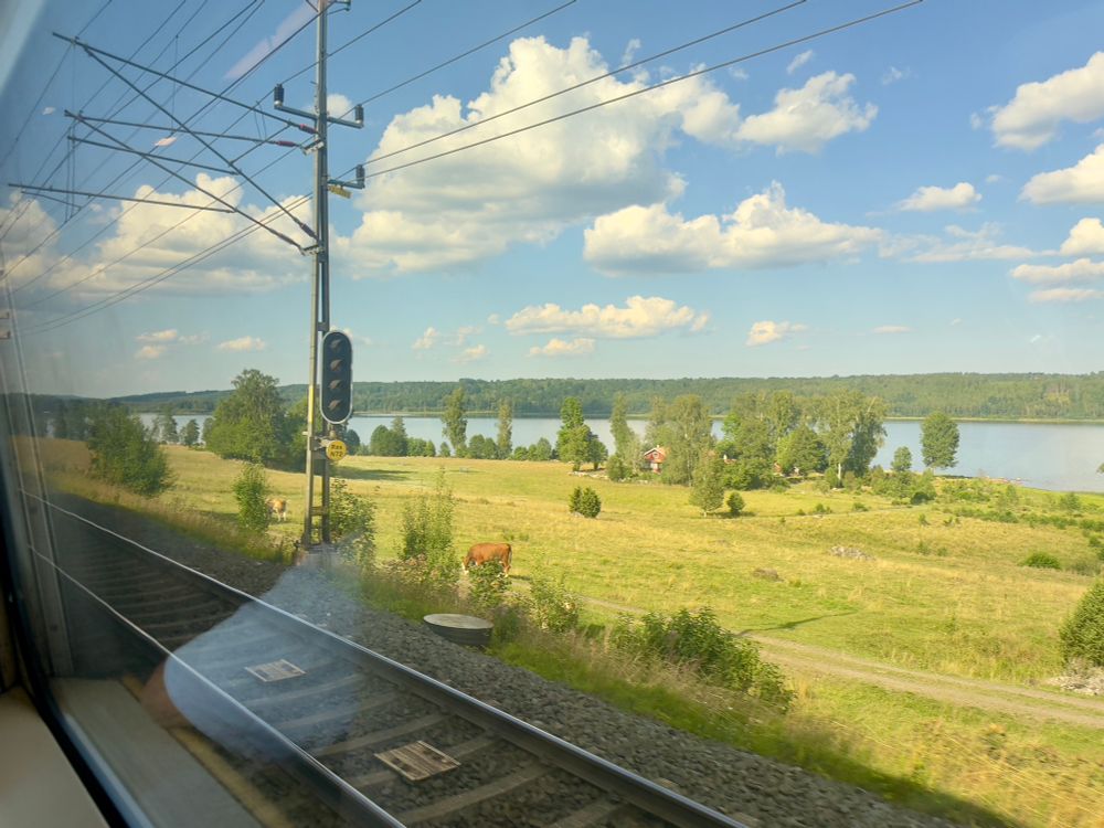 The Swedish countryside as seen from a moving train, with a lake, a red and white house, and some cows.