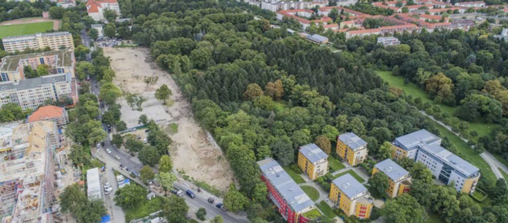 Emmaus-Kirchhof: Senat will Neuköllns größten Wald roden – Anwohner protestieren