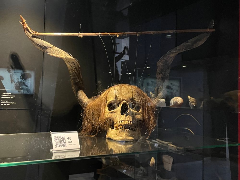The Kessar Lyre, a stringed instrument made of a human skull and goat horns with the strings strung from a rod between the horns through the eye sockets. Found at the Music Instrument Museum Malaga's prehistoric music room