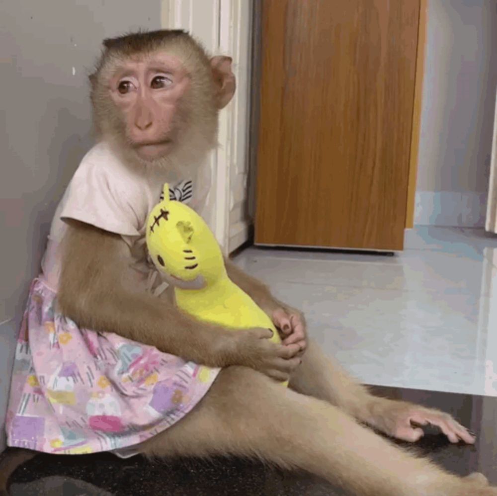 a monkey in a pink dress is holding a yellow stuffed animal