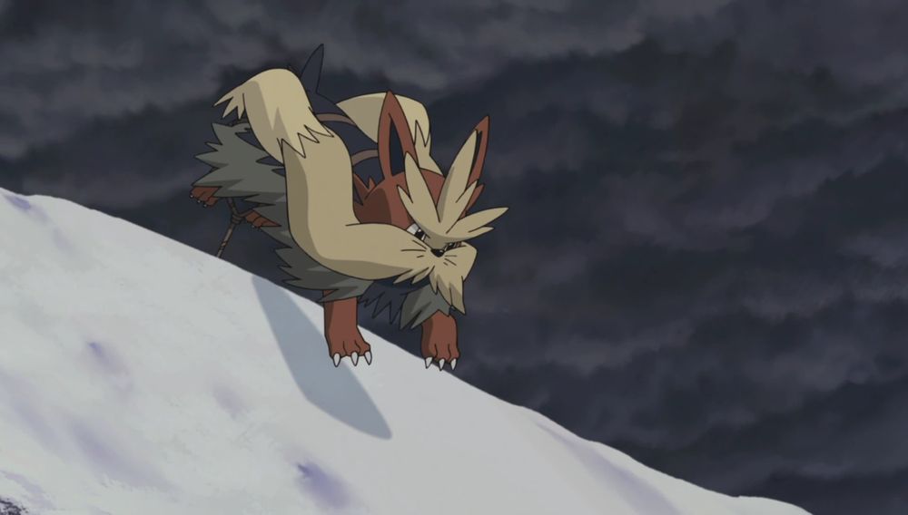 The Pokémon Stoutland