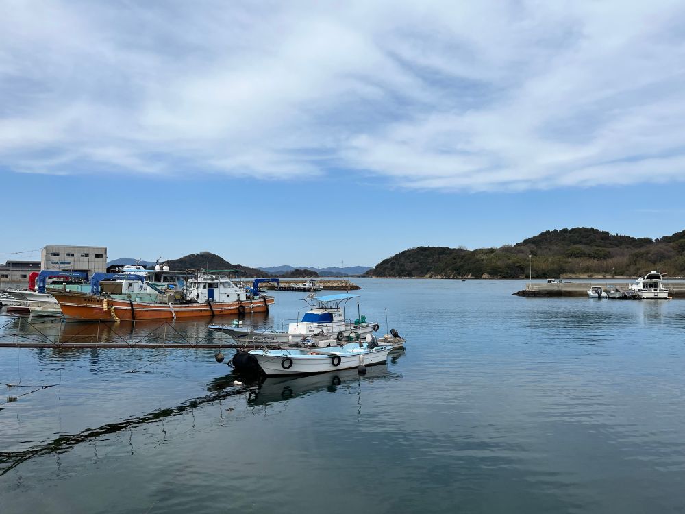 A serene harbor scene with several boats docked in calm waters, surrounded by lush green hills and a few buildings. The sky is partly cloudy with blue patches visible. 