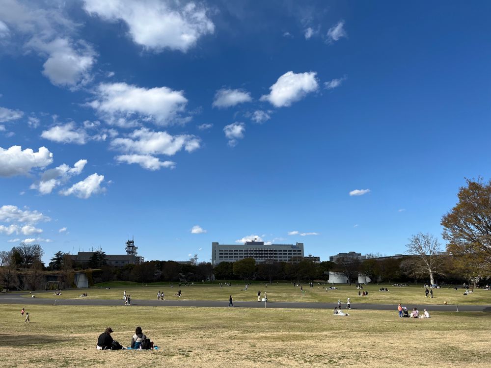 This photo captures a scenic outdoor park under a bright blue sky with scattered white clouds. The park has a large open grassy area with people spread across, engaging in various activities such as walking, sitting, and playing. Some individuals are having picnics on blankets, while others are strolling along a paved path that cuts through the park. In the background, there are modern buildings, including one with a communication tower, as well as trees, some of which have shed leaves, suggesting a transition between seasons. The atmosphere appears peaceful and leisurely, with people enjoying the fresh air and open space.