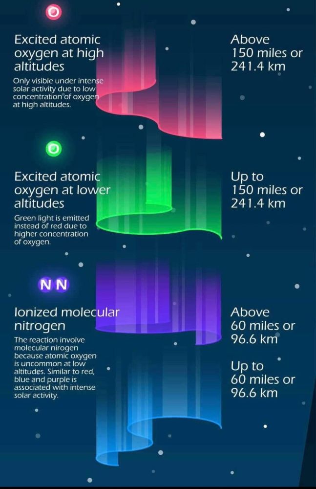 Four coloured aurora swoops in a vertical stack with information about what they are and where in the atmosphere they are located.
Red: Excited atomic oxygen at high altitudes Above 150 miles or 241.4 km. Only visible under intense solar activity due to low concentration of oxygen at high altitudes.
Green: Excited atomic oxygen at lower altitudes. Up to 150 miles or 241.4 km. Green light is emitted instead of red due to higher concentration of oxygen.
Purple: Ionized molecular nitrogen. Above 60 miles or 96.6 km. 
Blue: up to 60 miles or 96.6 km. The reaction involves molecular nitrogen because atomic oxygen is uncommon at low altitudes. Similar to red, blue and purple associated with intense activity.