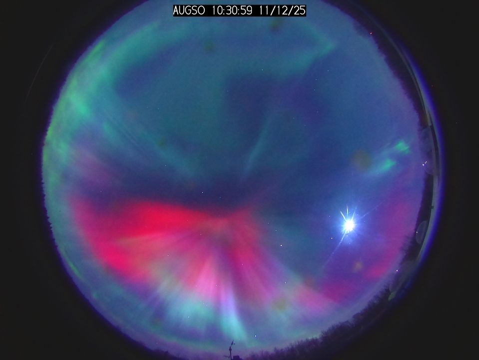 A circular photo of the entire sky, showing the aurora borealis in full bloom.
There's a slight rim of trees and building along the edge of the circle.

In the bottom half, a flare of red like a trumpet-flower spreads out from a point near the center of the circle image. The edges of the flare turn pale greenish white along the bottom, while holding bold red on the upper part and especially the left portion of the flared trumpet.
There's a paler stretch of pink along the right edge of the circle photo, near the moon (which is slowly rising from the right-center edge). And a bright stretch of green along the upper left edge of the circle photo.