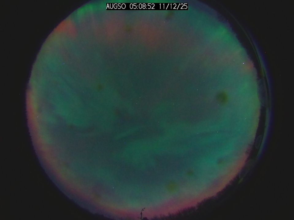 A circular view of the whole sky (there are black silhouettes of trees around the edge).
The whole circle is washed in an oozy neon green of varying intensities, bolder, thicker streaks across the middle and around the upper and right-side margins. Where the green is less intense, it looks more grey as the darkness of night shows through.
A sort-of coral red ring lines the edge of the bottom half and makes a straight line across the upper half, near the top.

If there was no aurora, you'd see a black sky with white specks of stars. This photo only has black where the tree shadows are.