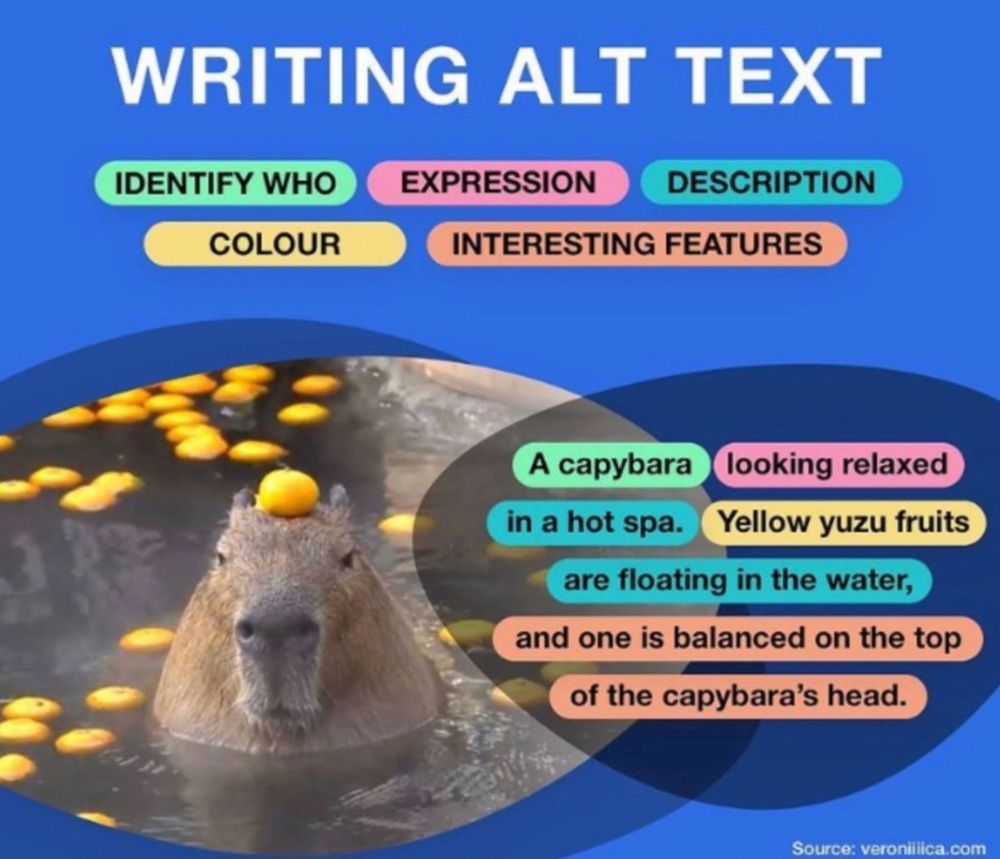 Comment image