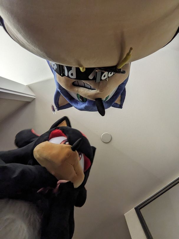 Sonic and Shadow looking down at the viewer 