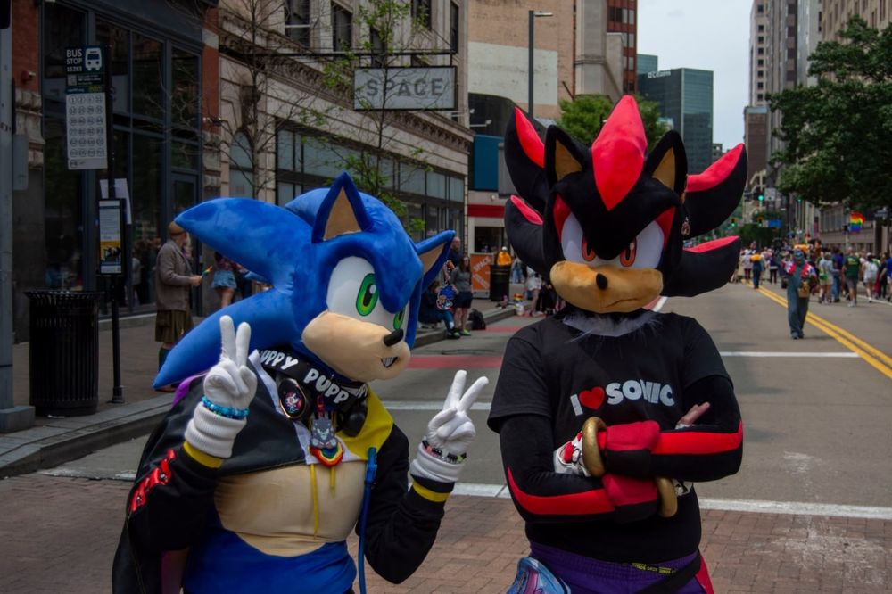 Sonic and shadow cosplays at pride. Sonic wears a nonbinary flag and is holding up peace signs. Shadow wears a bi flag and is cross armed glaring at the viewer. 