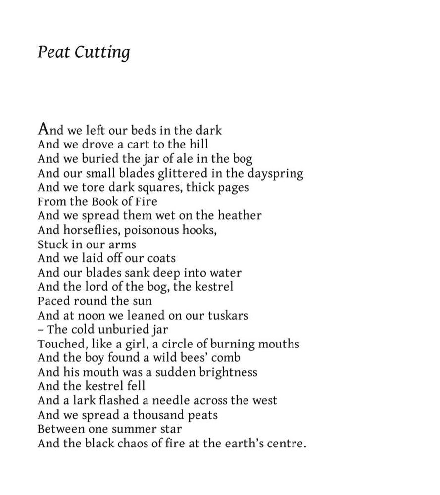 George Mackay Brown
Peat Cutting

And we left our beds in the dark
And we drove a cart to the hill
And we buried the jar of ale in the bog
And our small blades glittered in the dayspring
And we tore dark squares, thick pages
From the Book of Fire
And we spread them wet on the heather
And horseflies, poisonous hooks,
Stuck in our arms
And we laid off our coats
And our blades sank deep into water
And the lord of the bog, the kestrel
Paced round the sun
And at noon we leaned on our tuskars
– The cold unburied jar
Touched, like a girl, a circle of burning mouths
And the boy found a wild bees’ comb
And his mouth was a sudden brightness
And the kestrel fell
And a lark flashed a needle across the west
And we spread a thousand peats
Between one summer star
And the black chaos of fire at the earth’s centre.