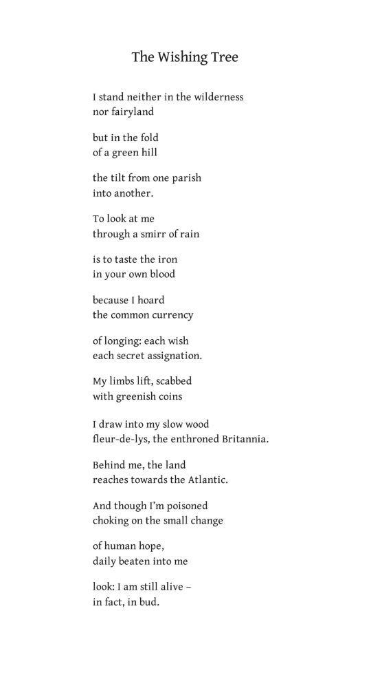 The Wishing Tree
by Kathleen Jamie

I stand neither in the wilderness
nor fairyland

but in the fold
of a green hill

the tilt from one parish
into another.

To look at me
through a smirr of rain

is to taste the iron
in your own blood

because I hoard
the common currency

of longing: each wish
each secret assignation.

My limbs lift, scabbed
with greenish coins

I draw into my slow wood
fleur-de-lys, the enthroned Brittania.

Behind me, the land
reaches towards the Atlantic.

And though I’m poisoned
choking on the small change

of human hope,
daily beaten into me

look: I am still alive –
in fact, in bud.