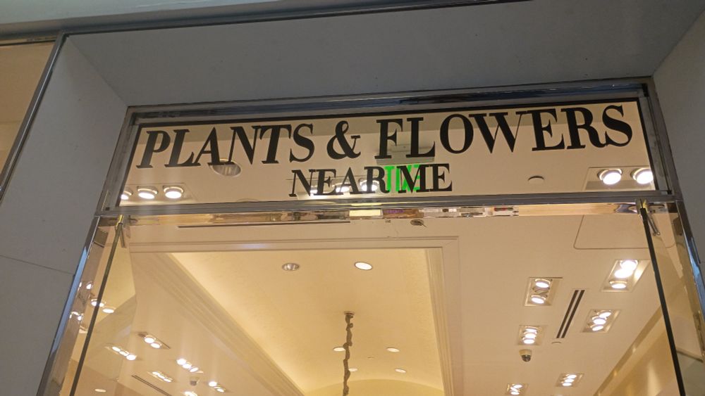 On the glass plate above the door to a mall store, the name of the store is listed as "plants & flowers near me"