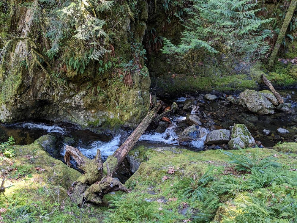 A stream leading into the waterfall, cutting through mossy rock 
