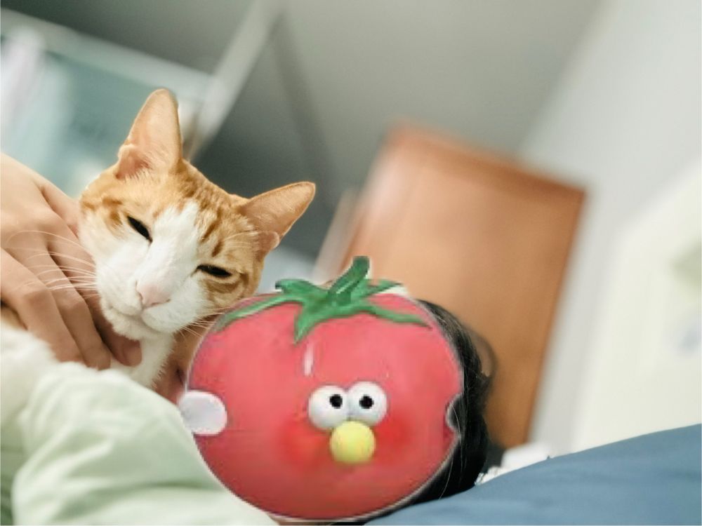 고양이가 몸위에 찰싹 달라붙어있다. 골골대는 소리가 직접 울린다. 뺨에 자기 얼굴을 갖다댄다.