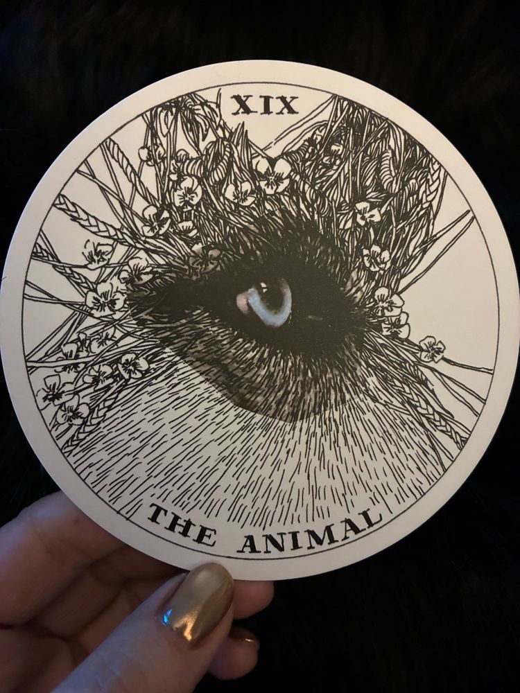 A round card from an oracle deck, held in my hand. At the top of the card is the Roman numeral XIX, and at the bottom of the card “THE ANIMAL.” The image on the card is a sketch-style drawing of the blue eye of an unspecified wild animal, but the eye also looks kinda human. It’s from the Wild Unknown Archetypes deck by Kim Krans.