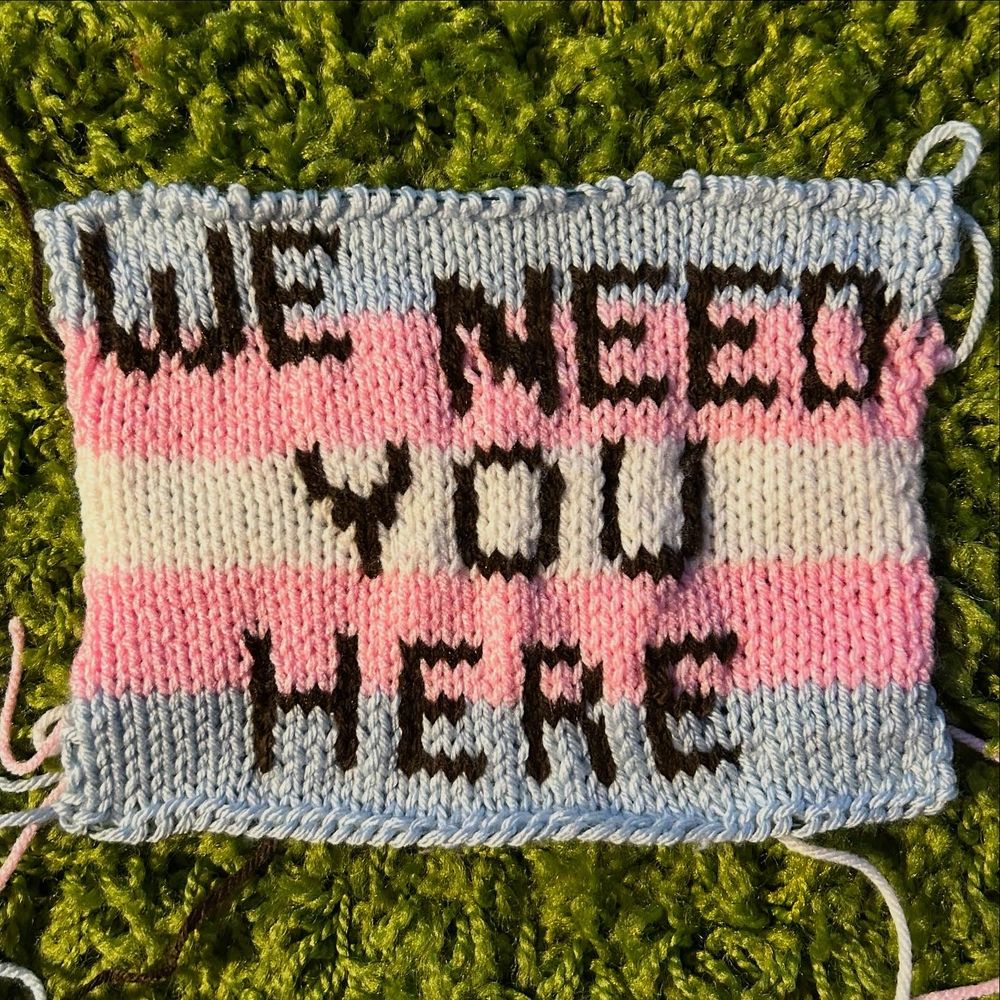 Knitted fabric of the trans pride flag with lettering that says “we need you here”