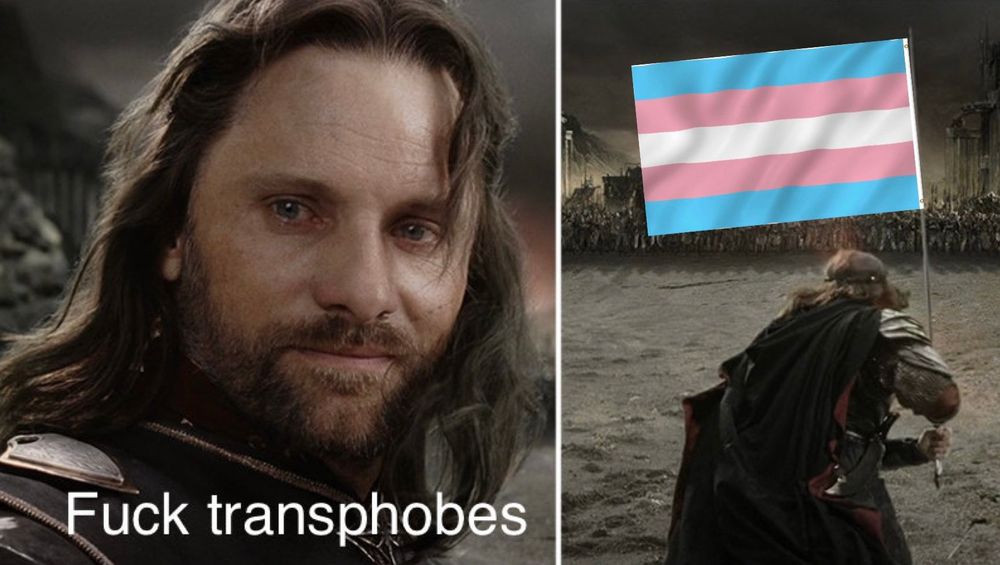 A picture of Aragorn in ROTK turning back and saying “fuck transphobes” and then charging into battle with a trans flag raises