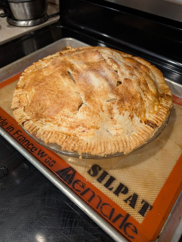 Apple pie fresh out of the oven 