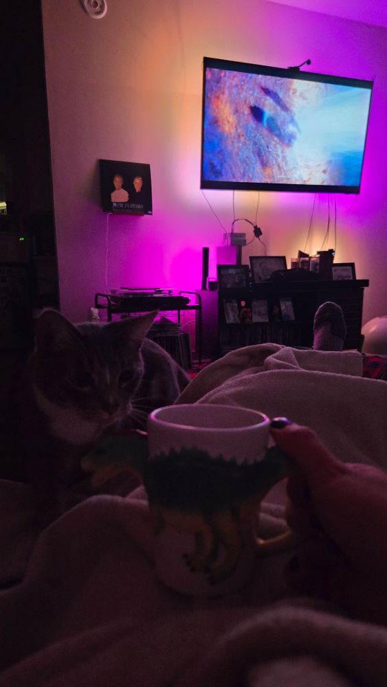 a dinosaur mug full of rum and hot chocolate. a cat sniffs it, a well lit and colorful TV is on